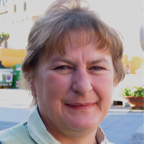 Lisa P. Brumback Memorial Mathematical Sciences Scholarship